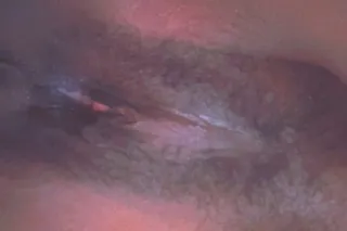 Available now in Macon Qv spec... - Image 1